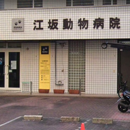 江坂動物病院